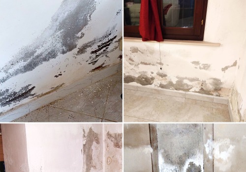 Soluzioni Efficaci per Combattere l'Umidità di Risalita a Palermo